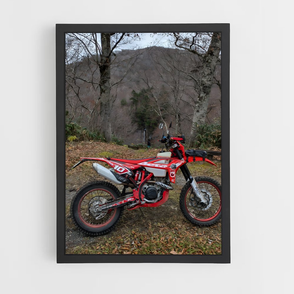 Poster Éblouissant RR-S – affiche Beta (vue 2)